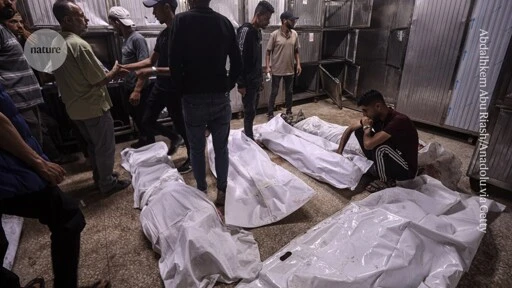 First independent survey of deaths in Gaza reports more than 80,000 fatalities