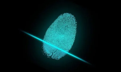 AI Leaves Digital Fingerprints in 13.5% of Scientific Papers